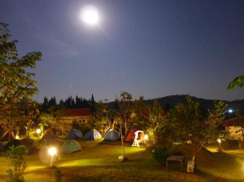 المظهر الخارجي