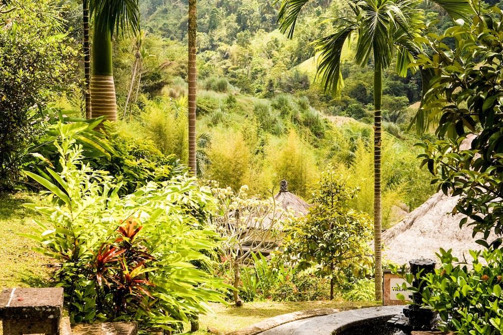 المظهر الخارجي