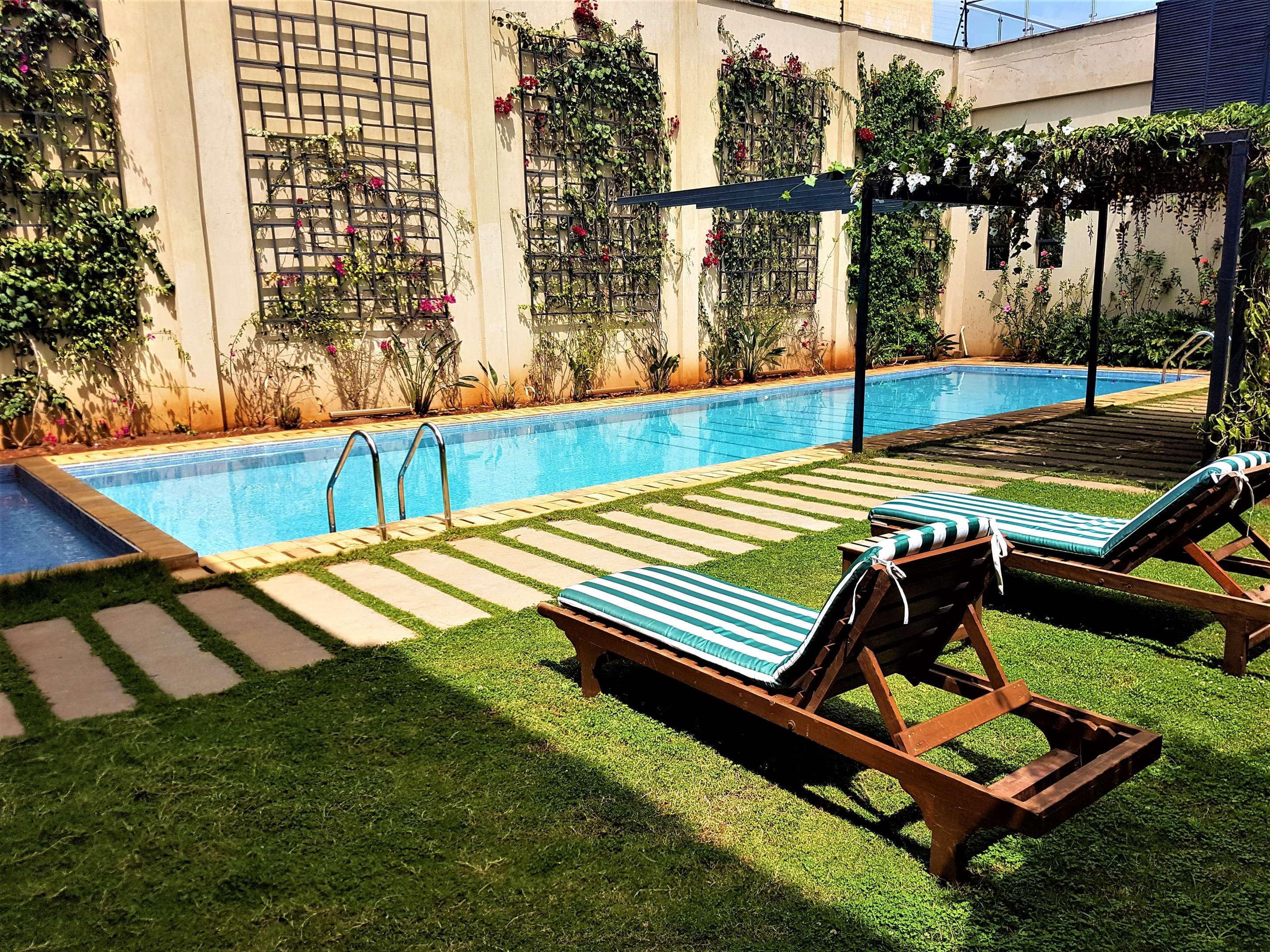 حوض السباحة