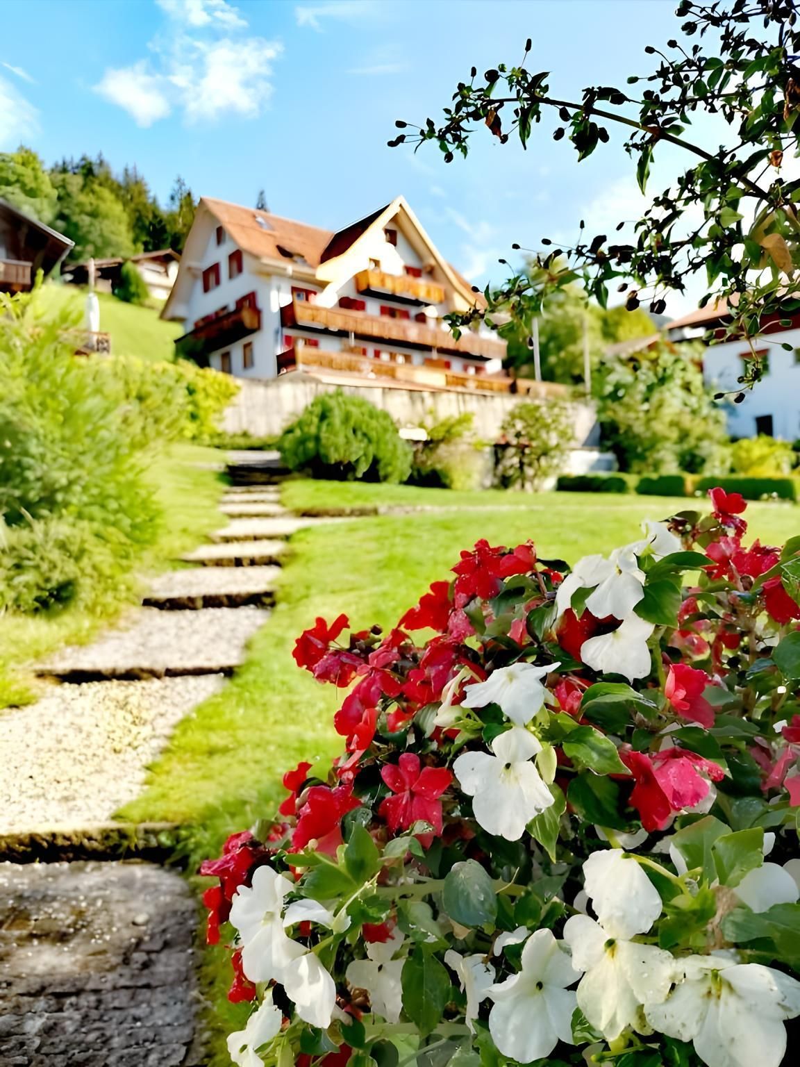 المظهر الخارجي