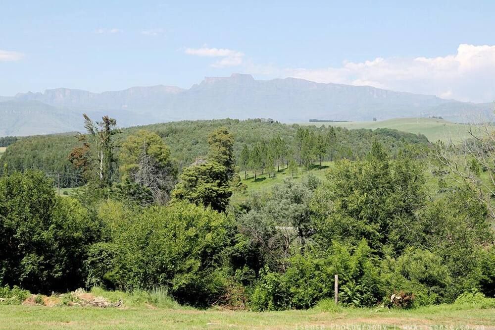 المظهر الخارجي