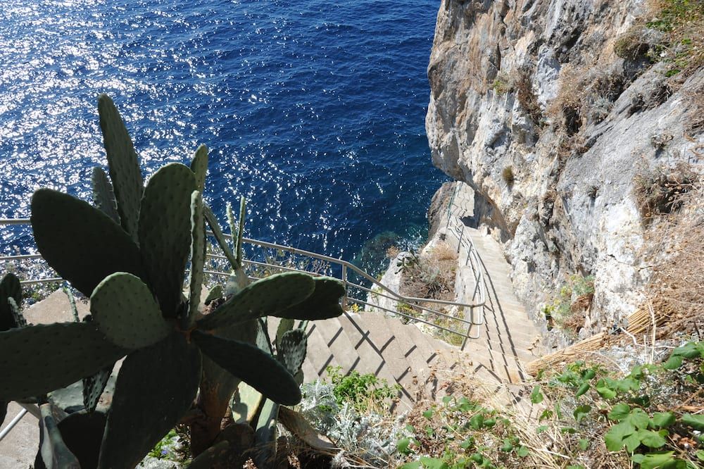 المظهر الخارجي