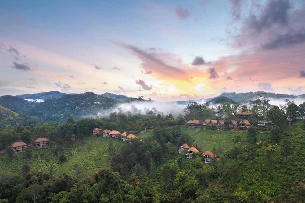 المظهر الخارجي