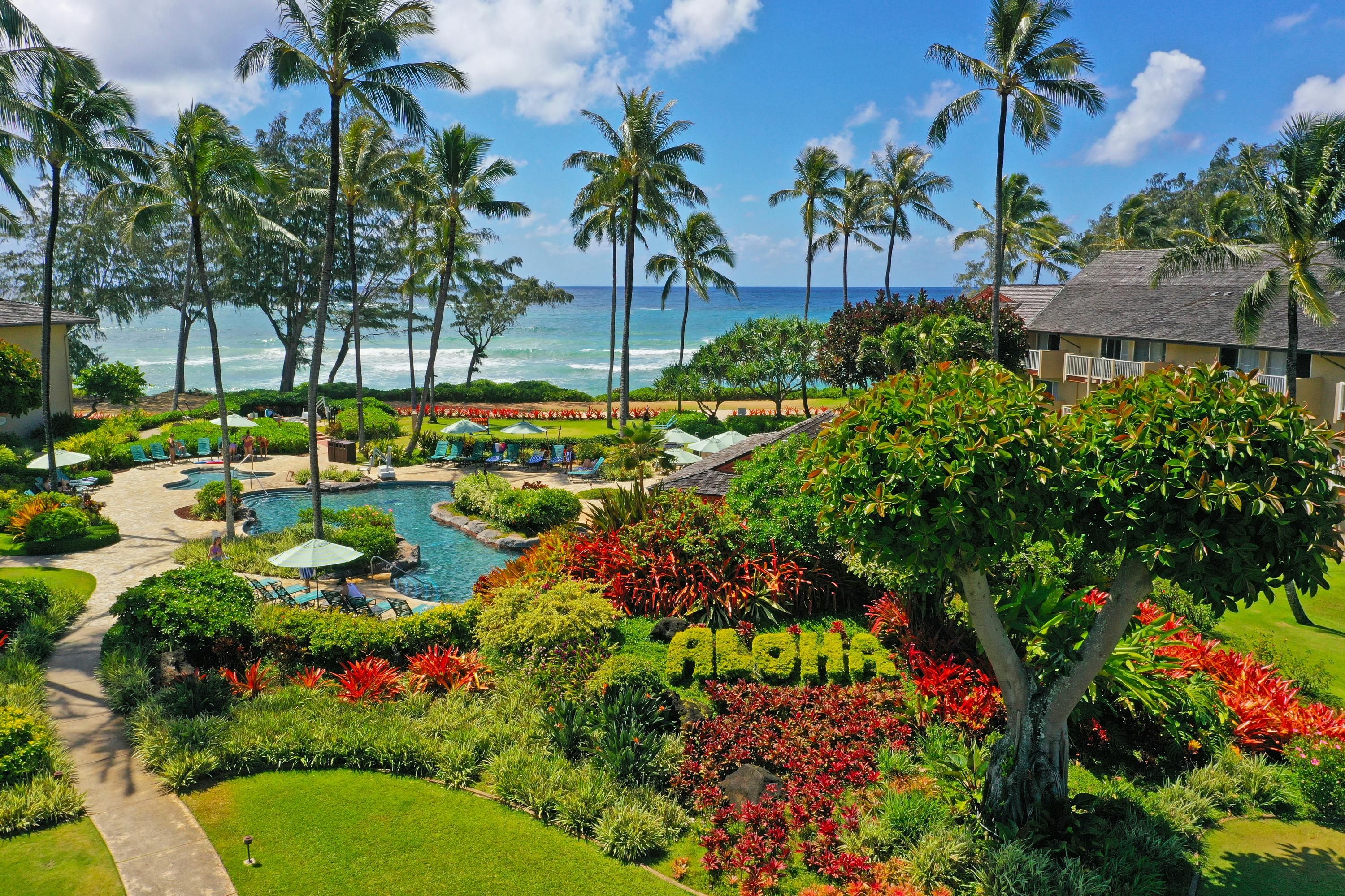 المظهر الخارجي