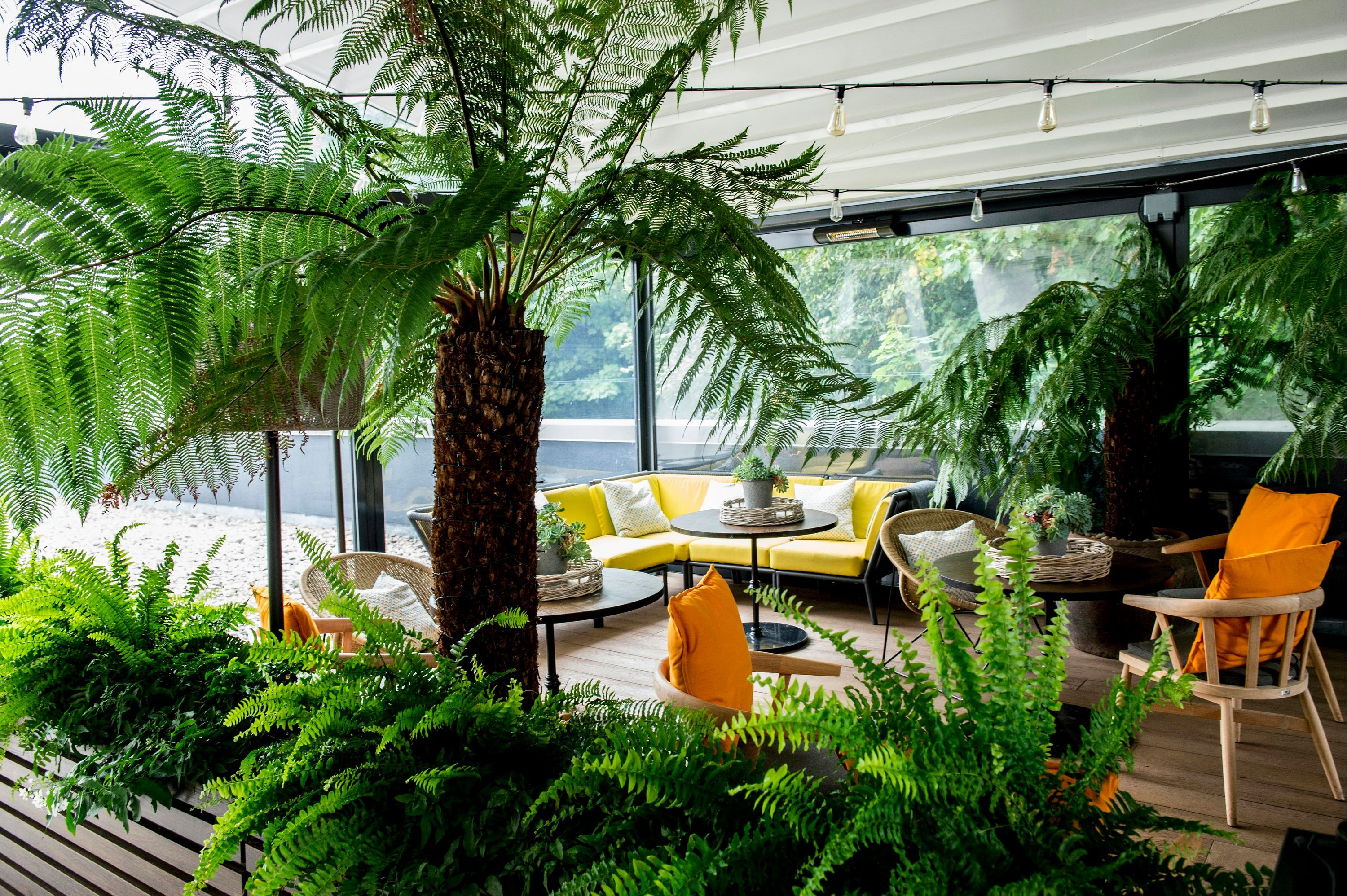 غرفة الاجتماعات