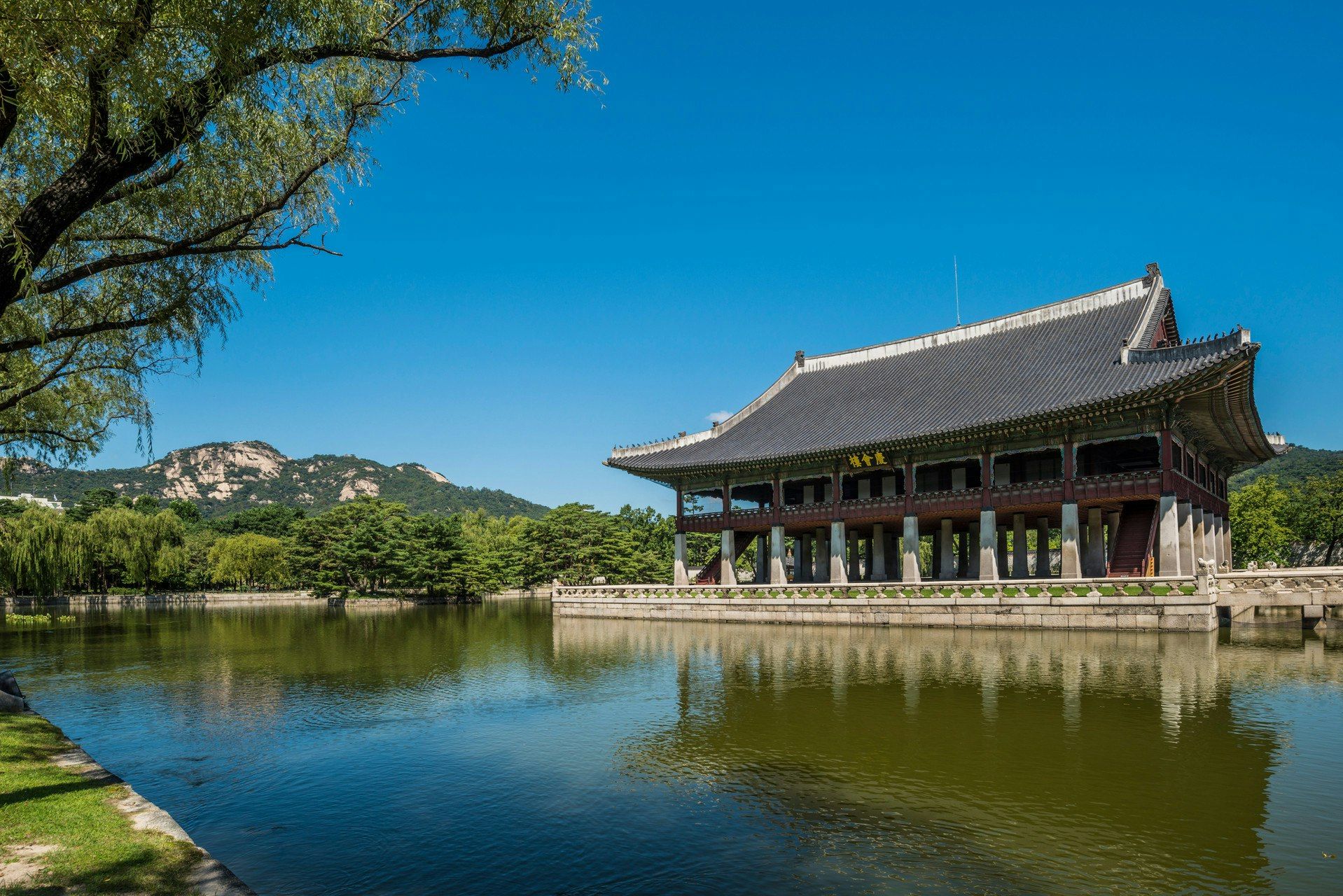 المظهر الخارجي