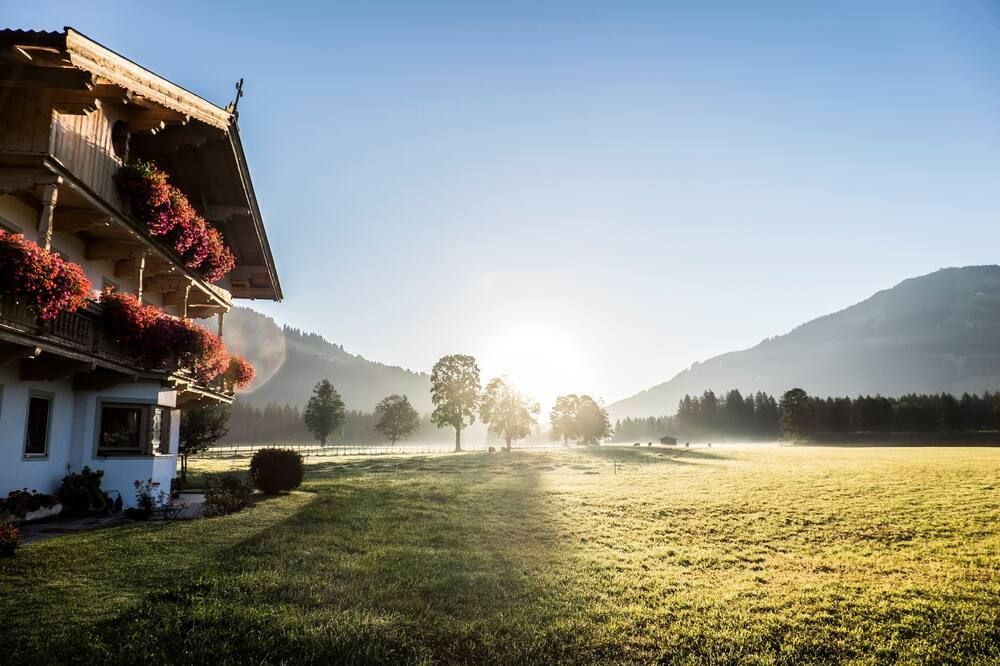 المظهر الخارجي