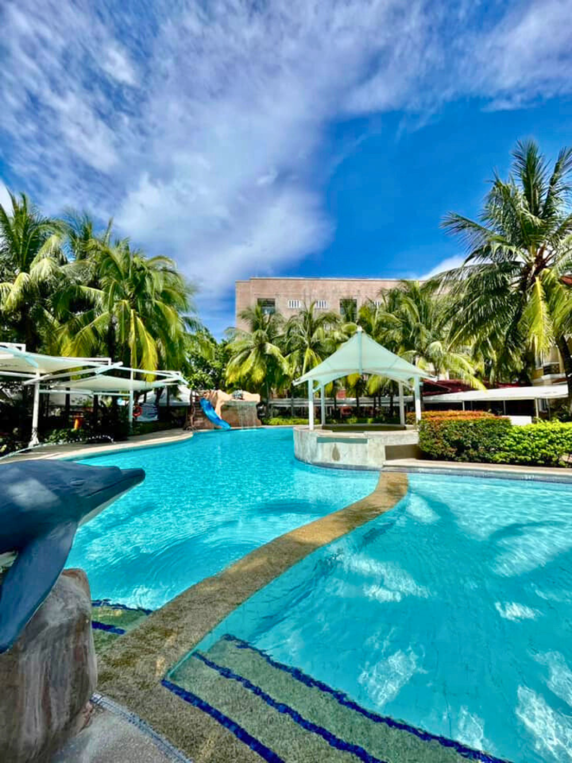 حوض السباحة صورة