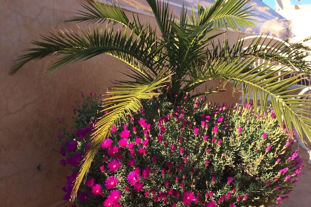 المظهر الخارجي