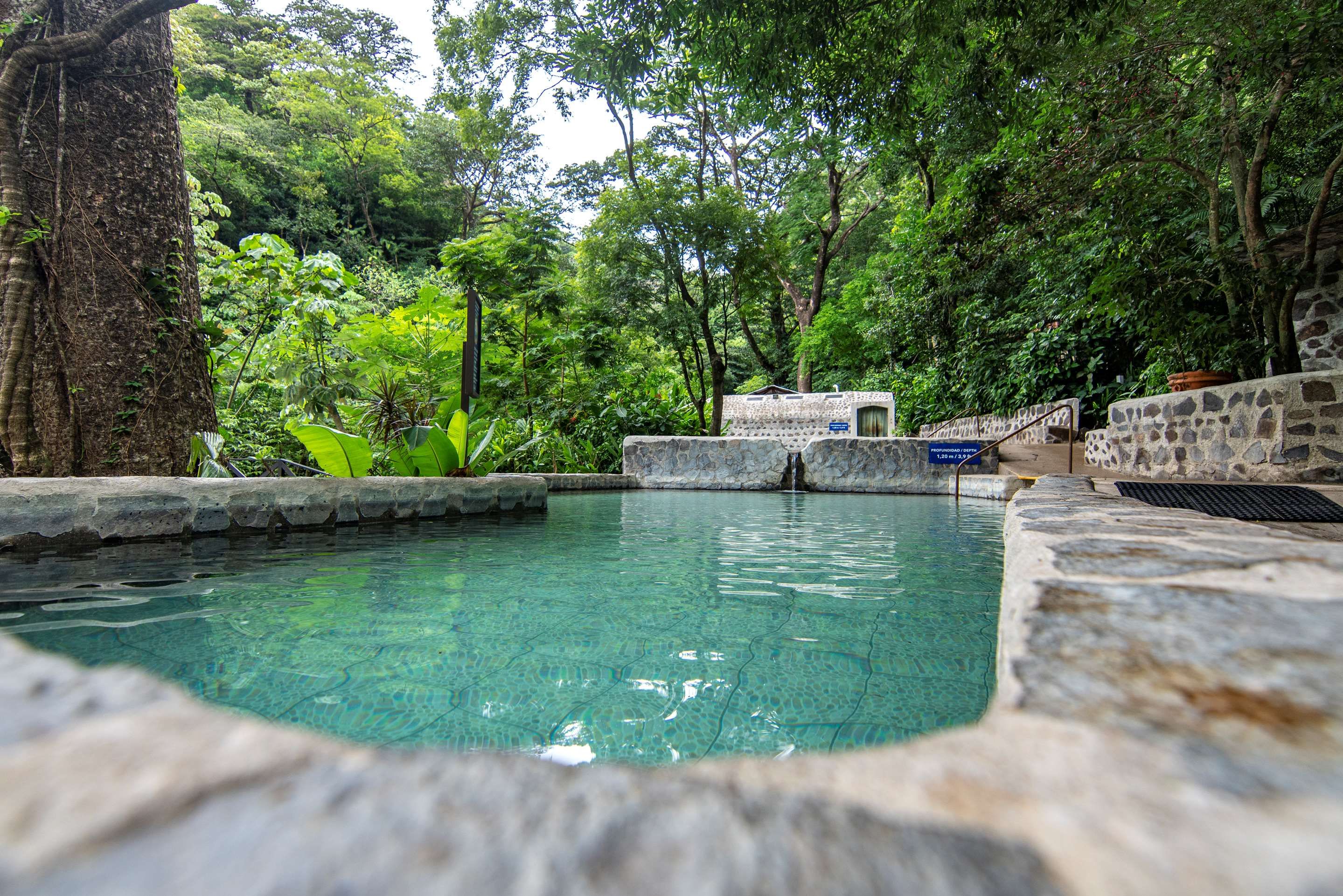 حوض السباحة