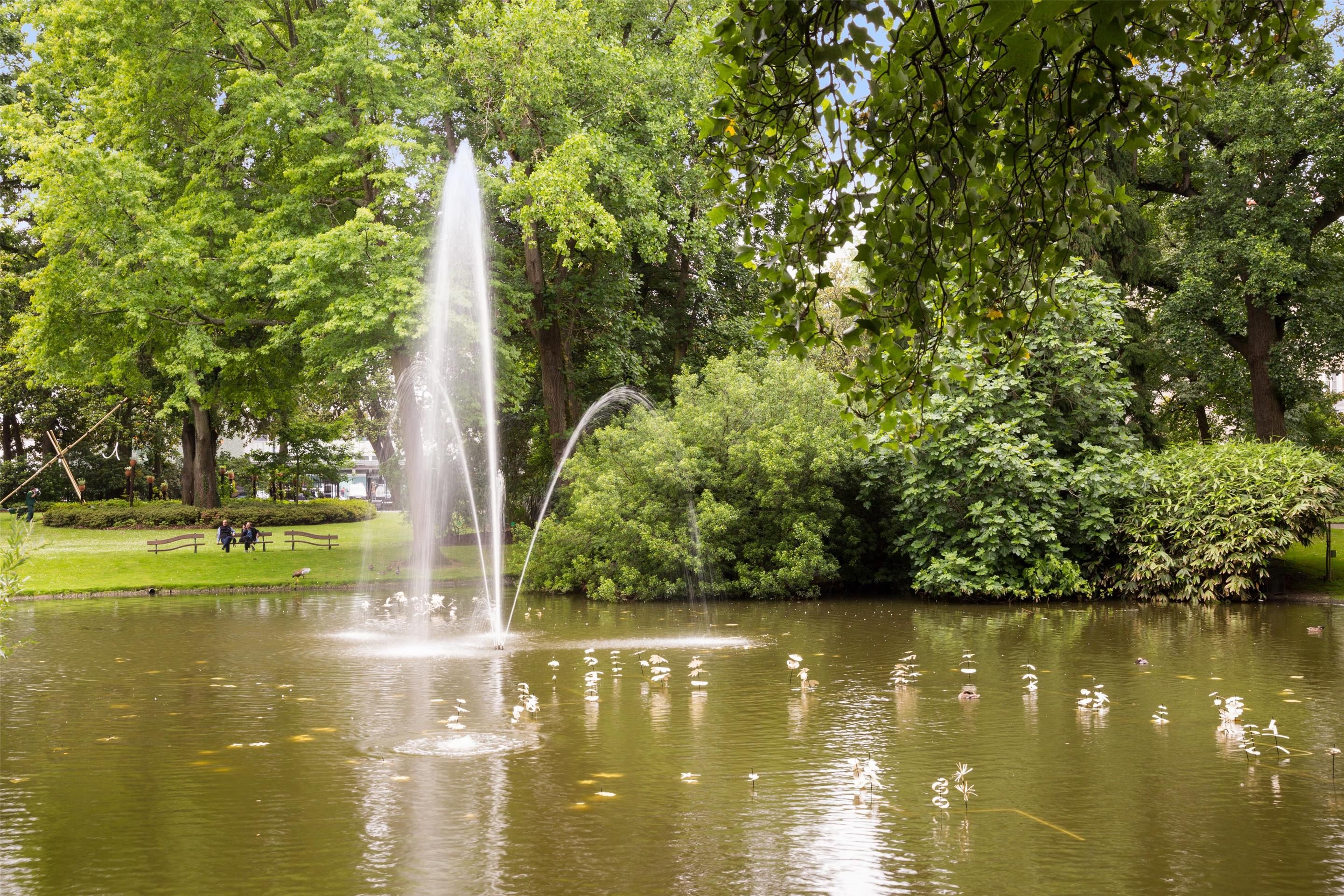 المظهر الخارجي