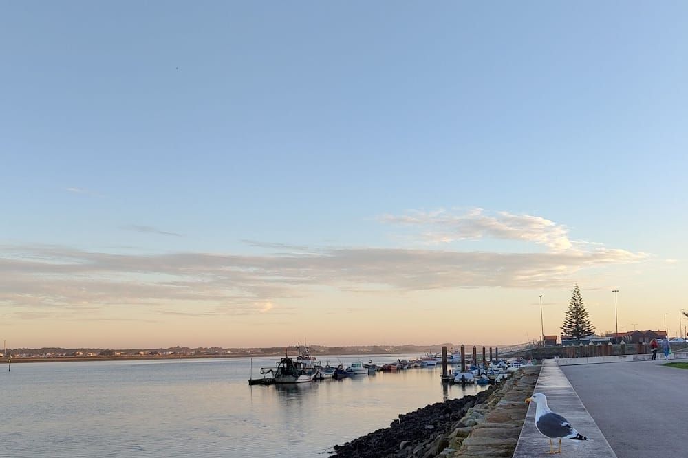 المظهر الخارجي