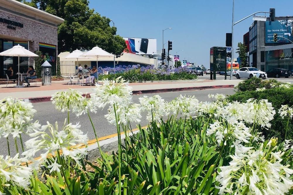 المظهر الخارجي