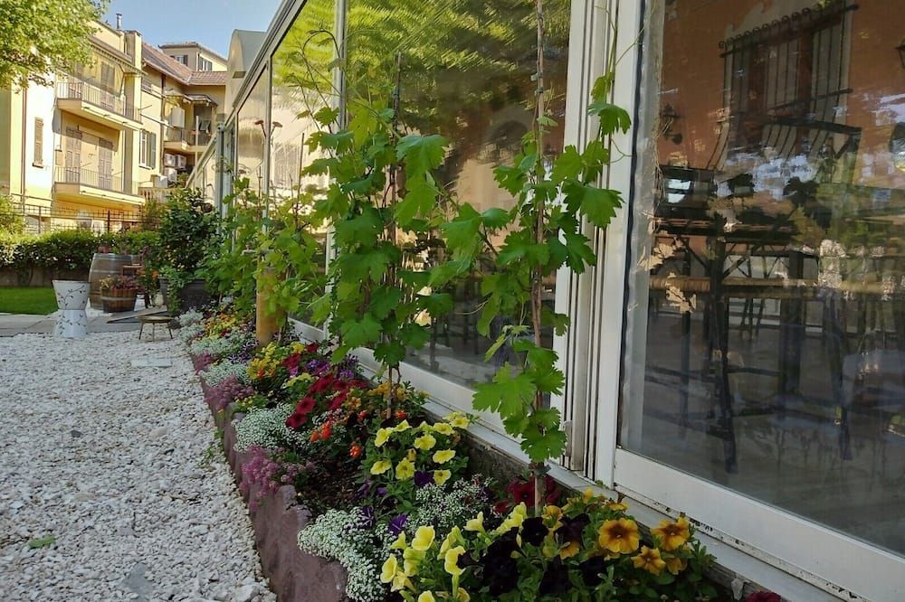 المظهر الخارجي