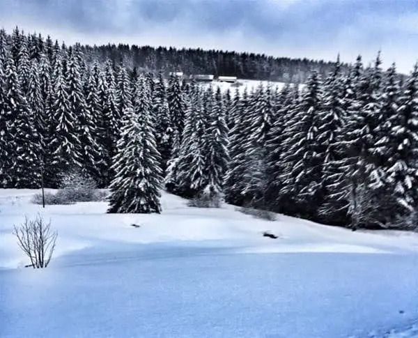 المظهر الخارجي