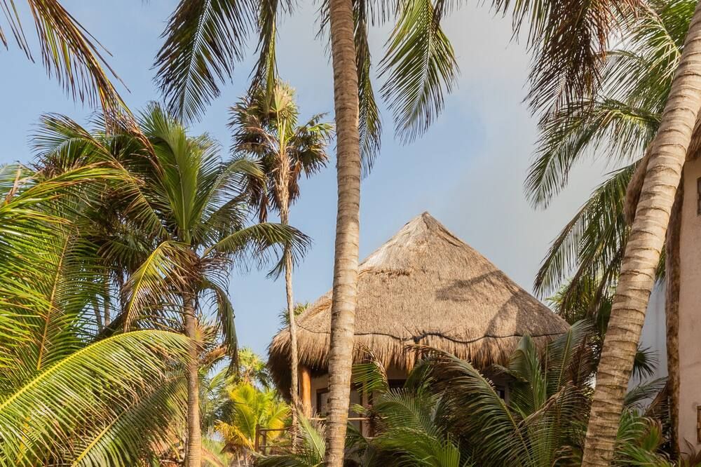 المظهر الخارجي