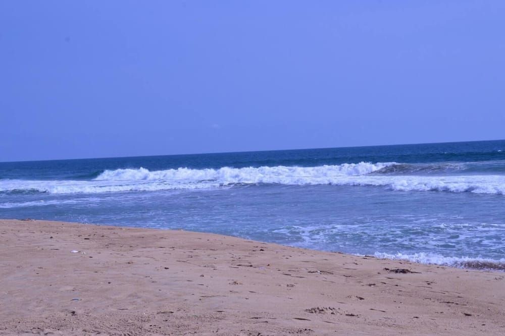 شاطئ صورة