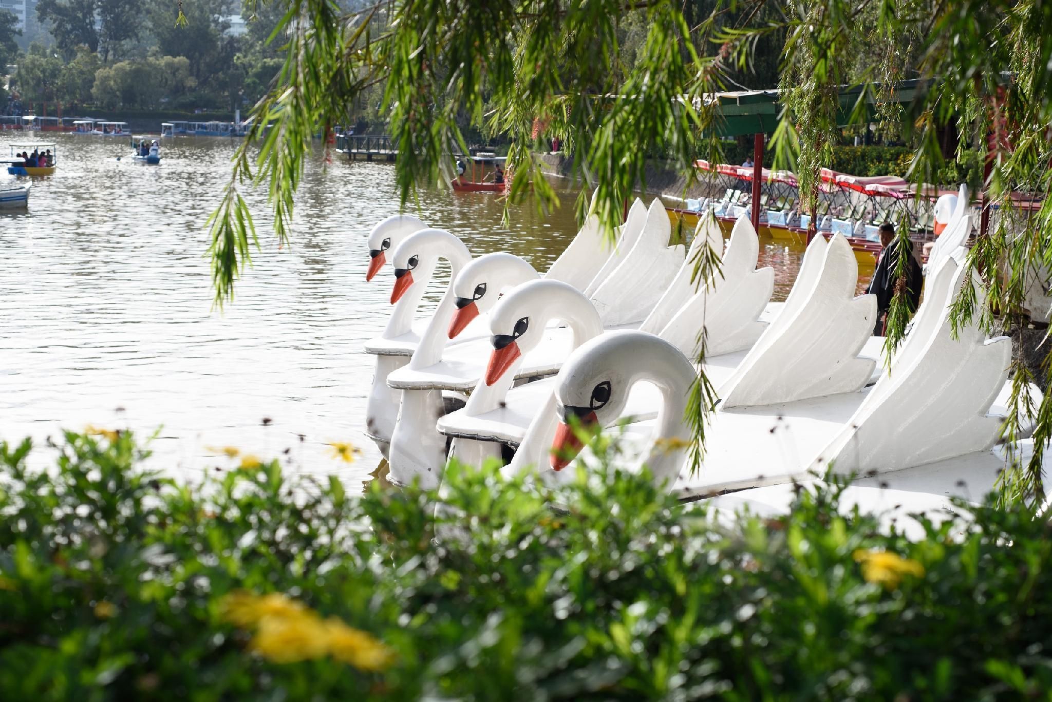 آخر
