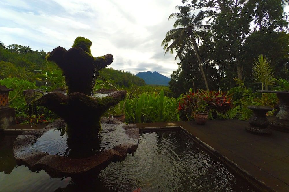 المظهر الخارجي