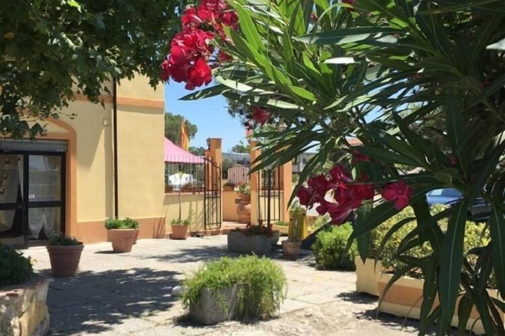 المظهر الخارجي