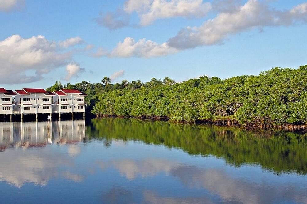 المظهر الخارجي