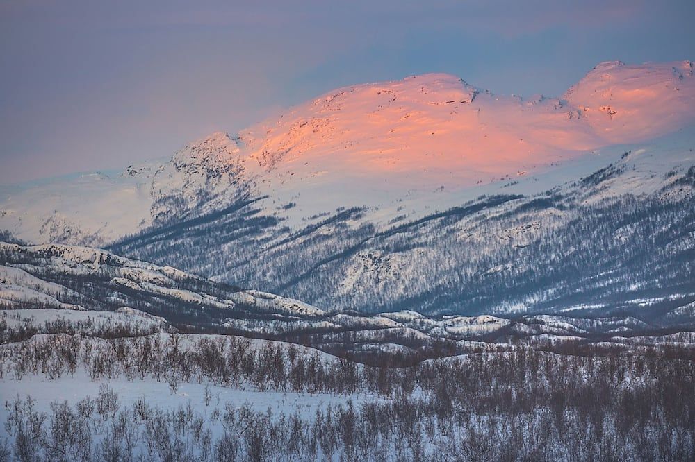 المظهر الخارجي