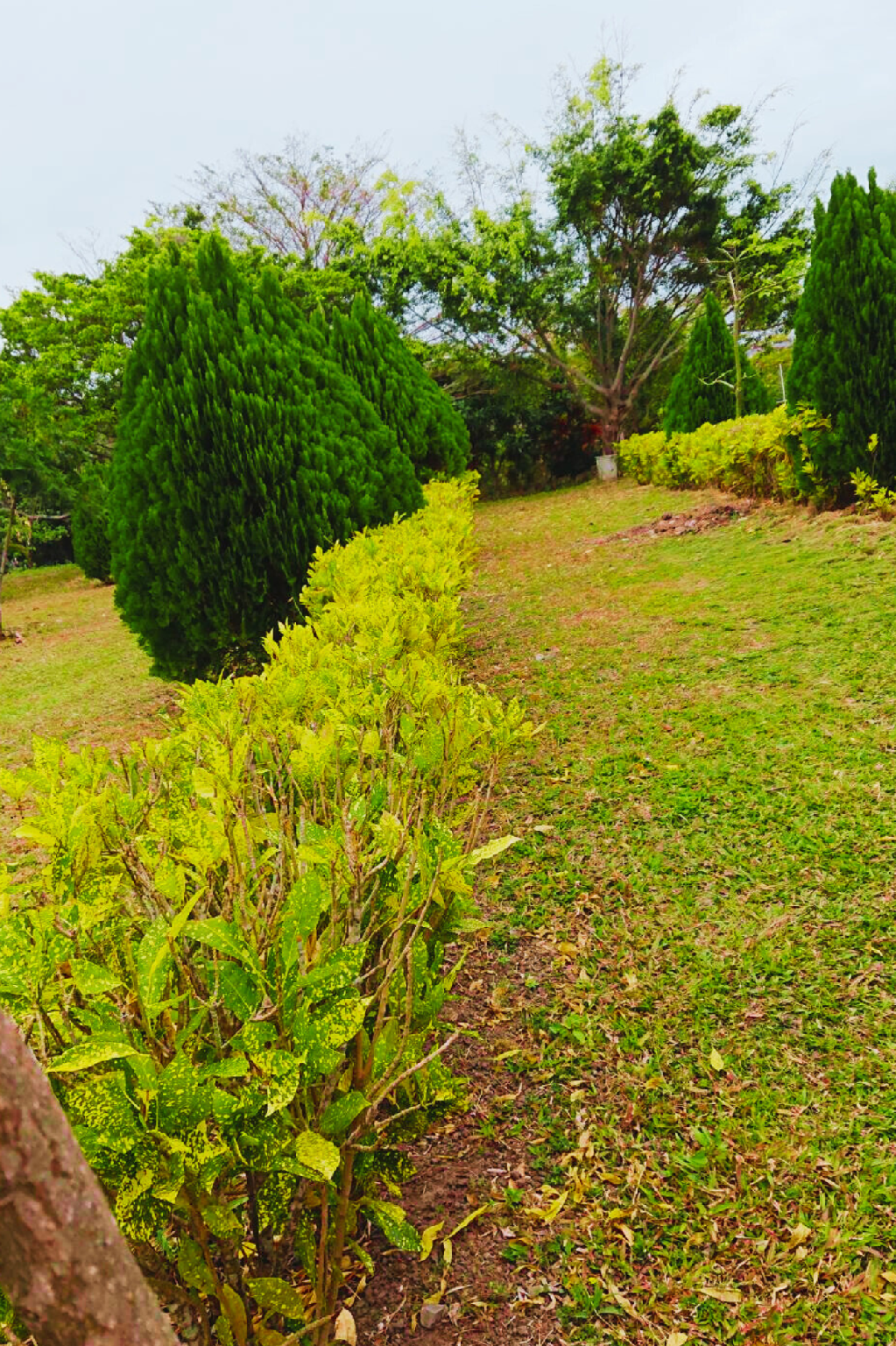 المظهر الخارجي