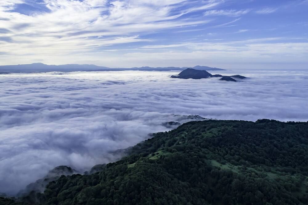 المظهر الخارجي