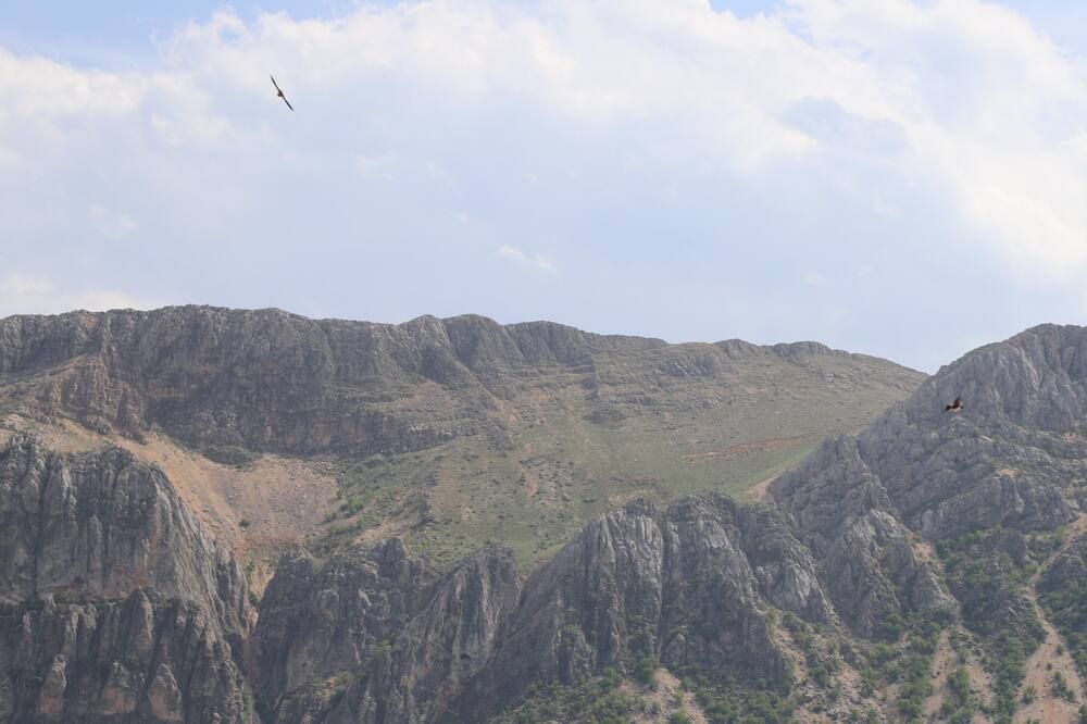 المظهر الخارجي