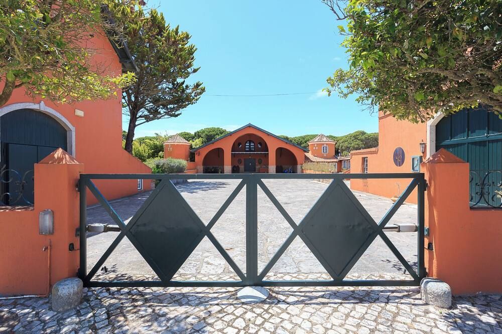 المظهر الخارجي