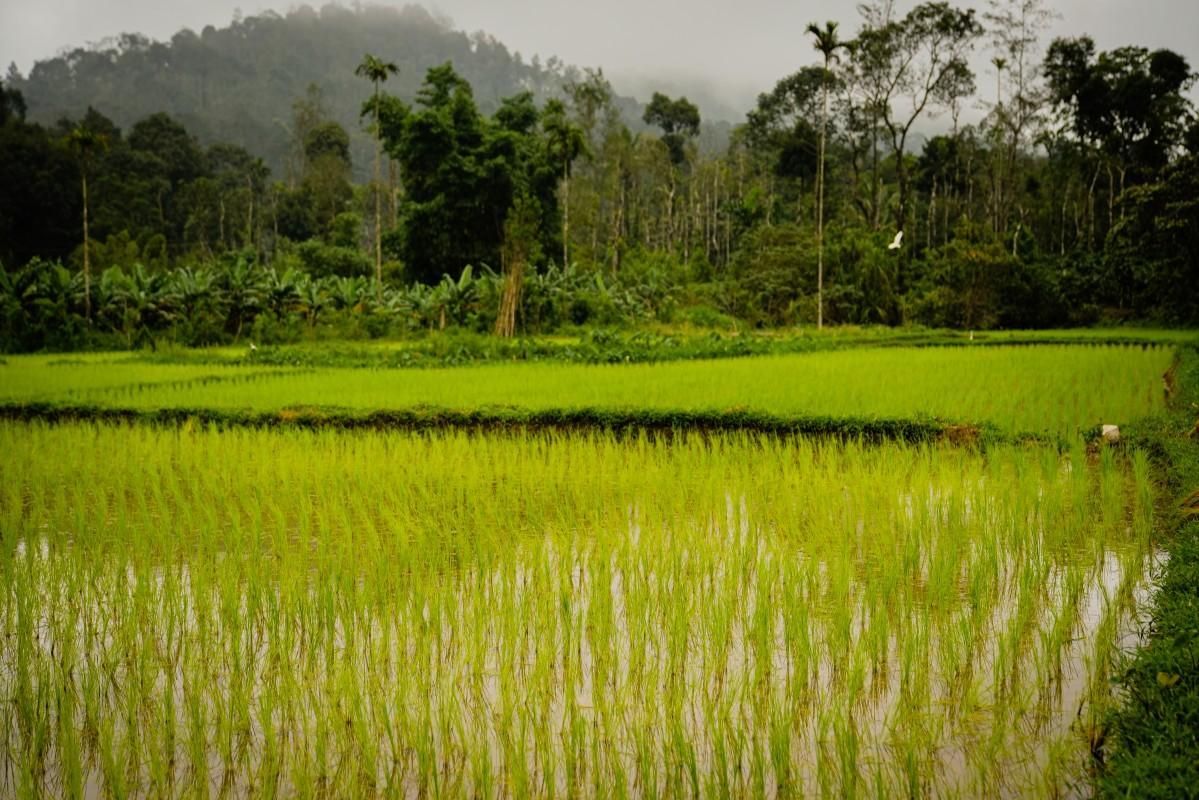 المظهر الخارجي