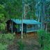المظهر الخارجي