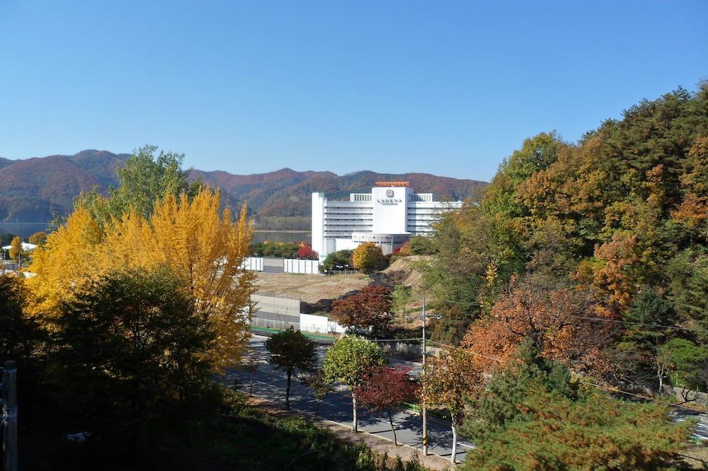 المظهر الخارجي