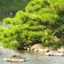 المظهر الخارجي