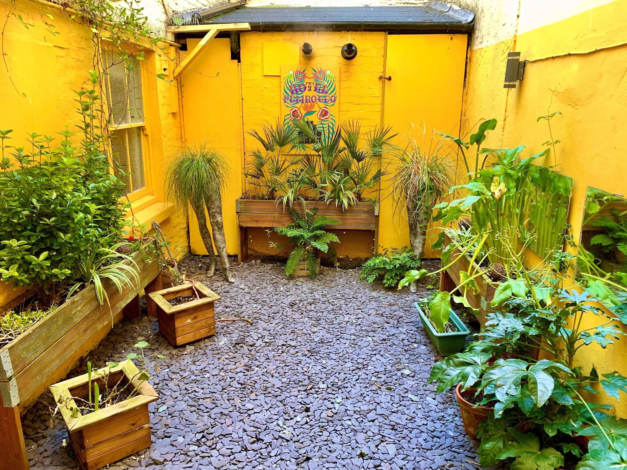 المظهر الخارجي