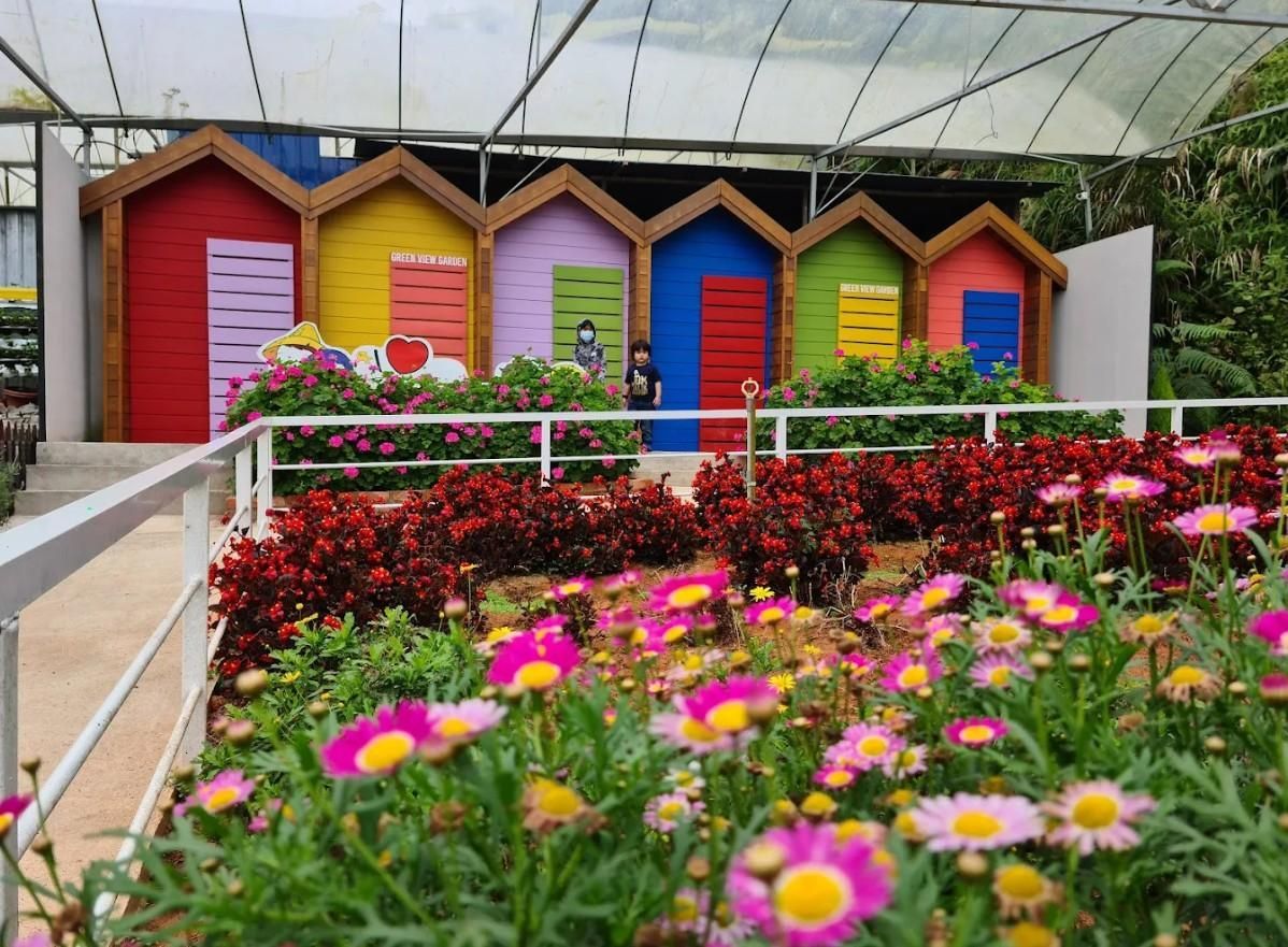 المظهر الخارجي