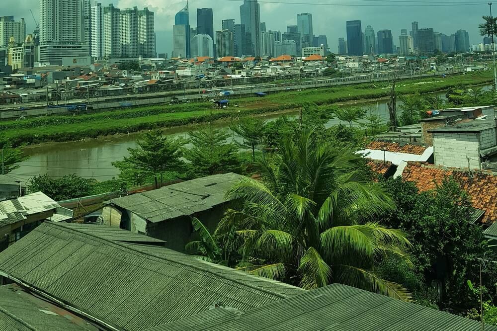 المظهر الخارجي