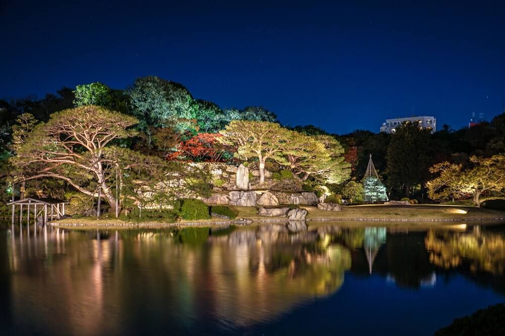 المظهر الخارجي