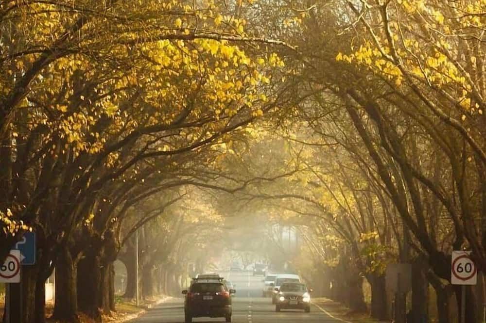 المظهر الخارجي