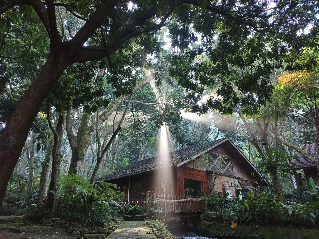 المظهر الخارجي