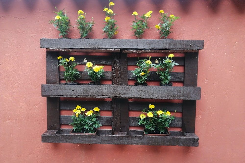 المظهر الخارجي