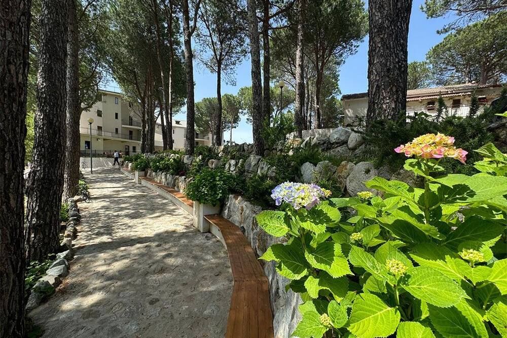 المظهر الخارجي