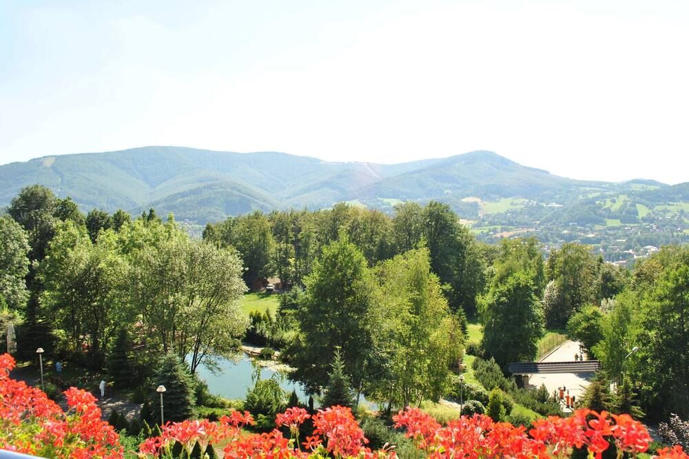 المظهر الخارجي