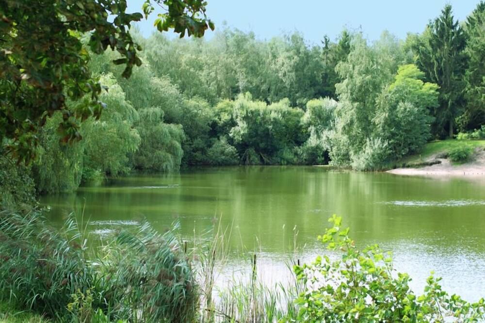 المظهر الخارجي