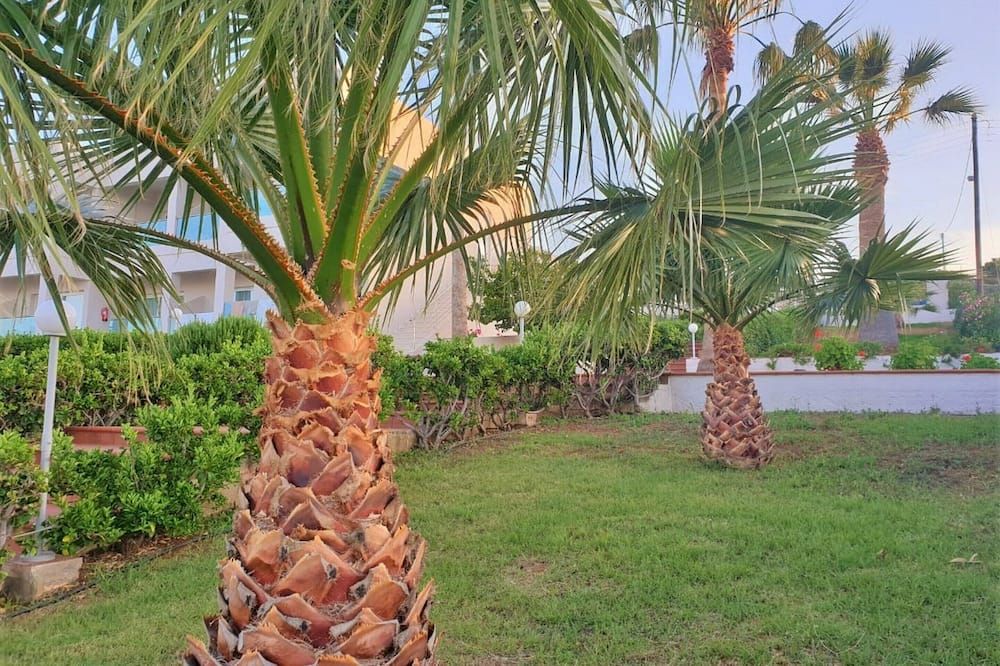 المظهر الخارجي