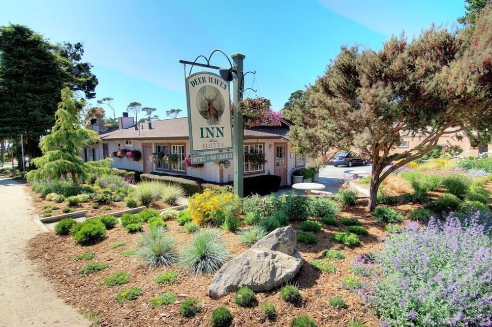 المظهر الخارجي