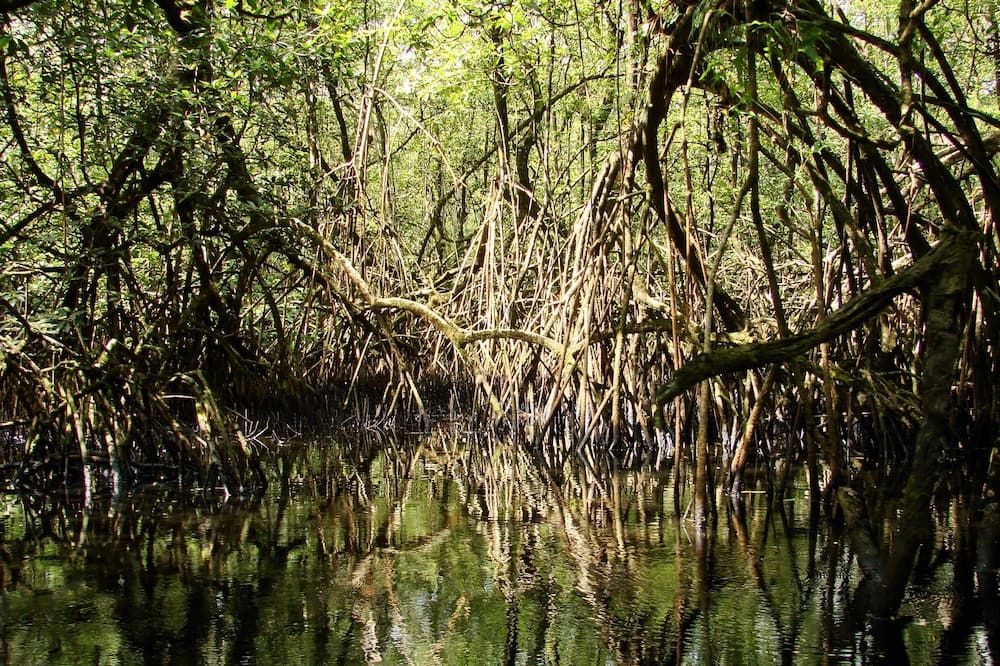 المظهر الخارجي