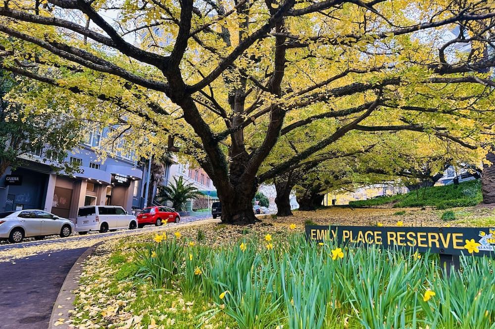 المظهر الخارجي