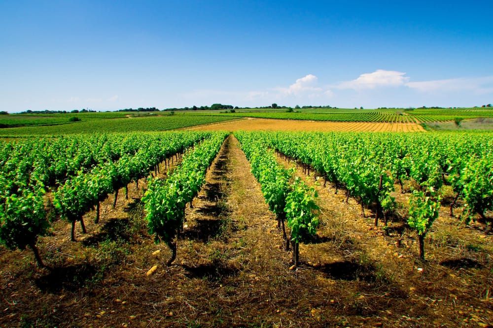 المظهر الخارجي