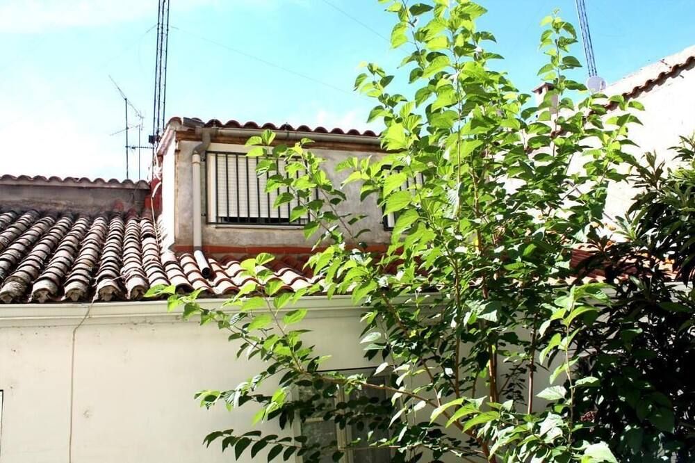 المظهر الخارجي